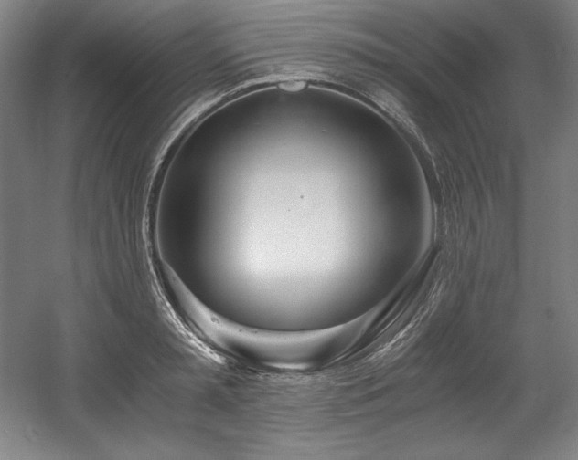X0000056020797200508191326