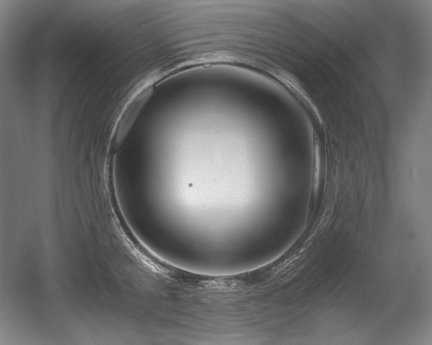 X0000056020805200508191326