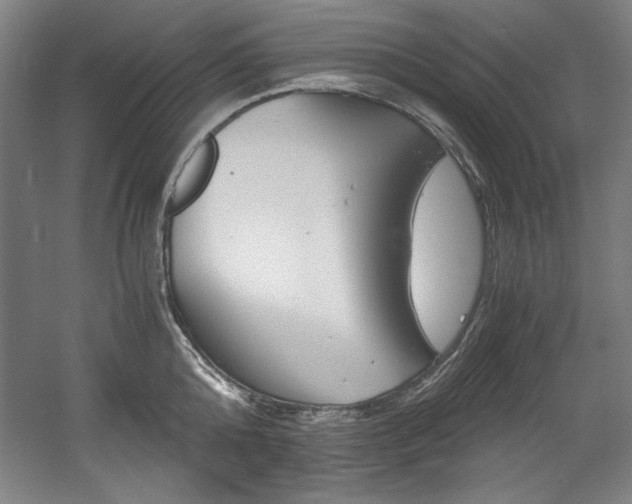 X0000056020808200508191326