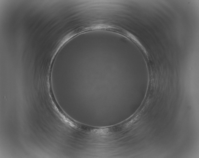 X0000056020810200508191326