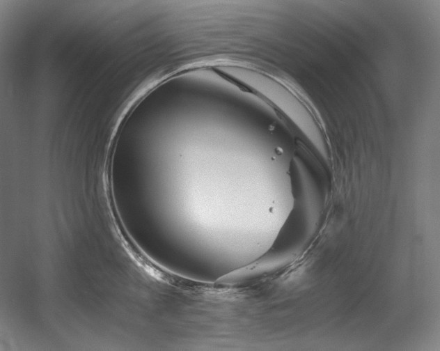 X0000056020813200508191326