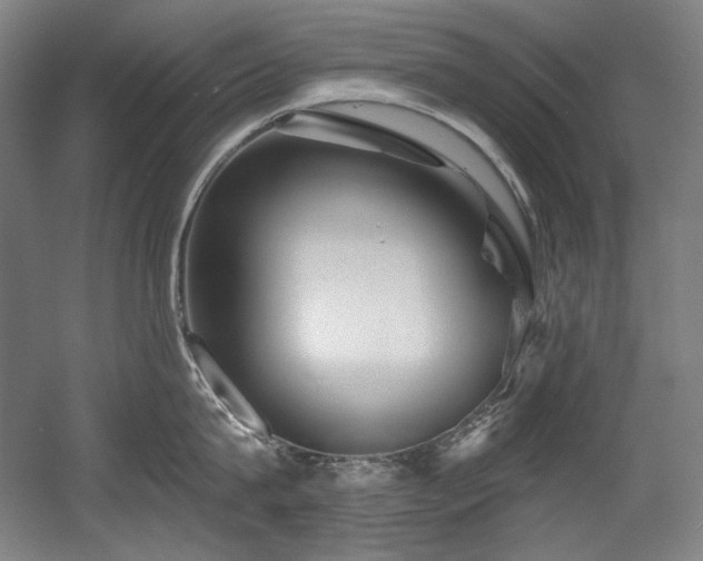 X0000056020815200508191326
