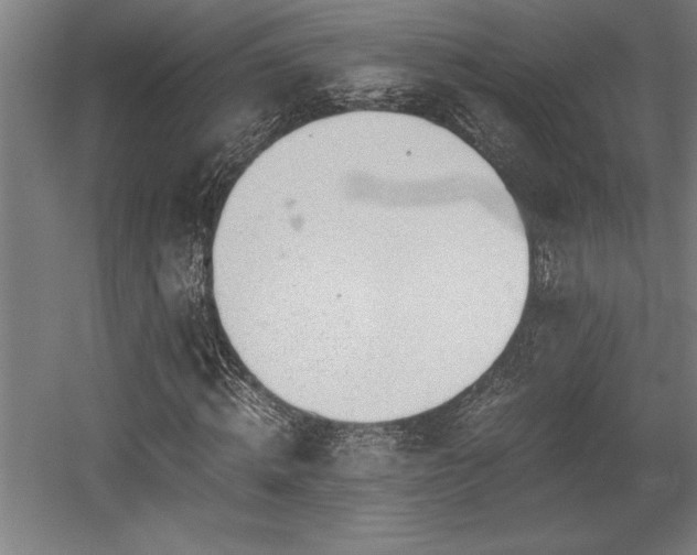 X0000056020820200508191325