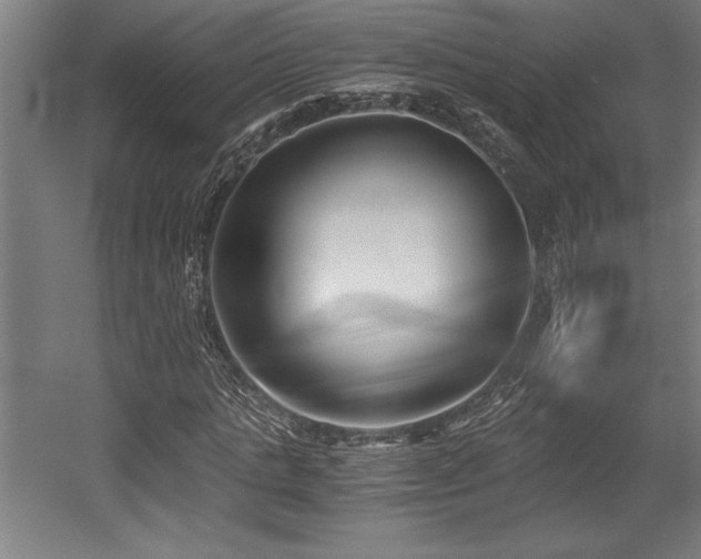 X0000056020821200508191325