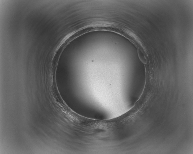 X0000056020829200508191325