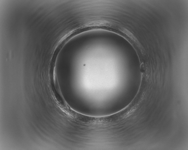 X0000056020834200508191325