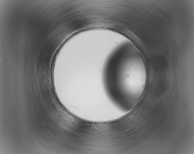 X0000056020836200508191325