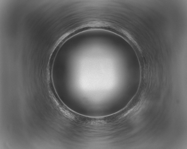 X0000056020837200508191325