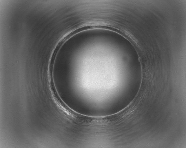 X0000056020840200508191325