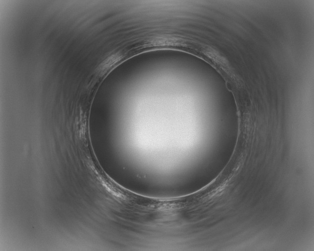 X0000056020841200508191325