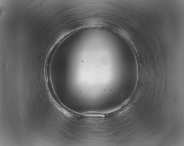 X0000056020843200508191325