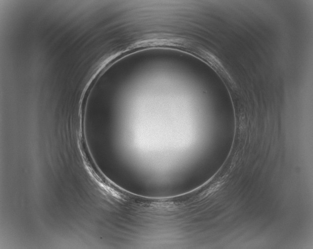 X0000056020844200508191325