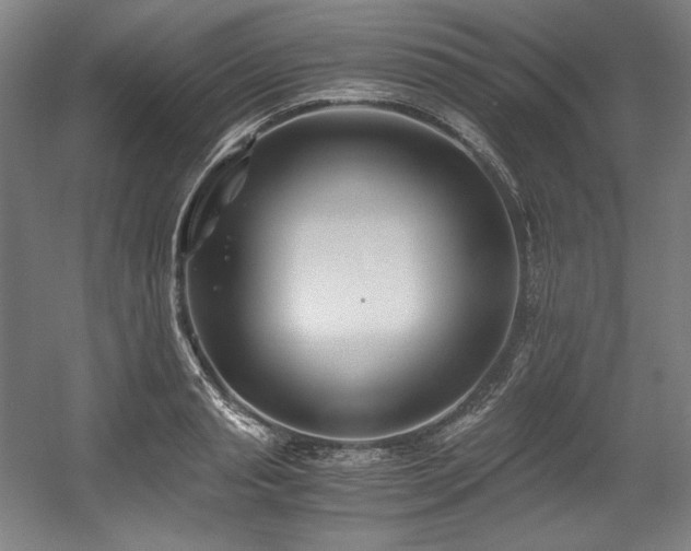 X0000056020845200508191325