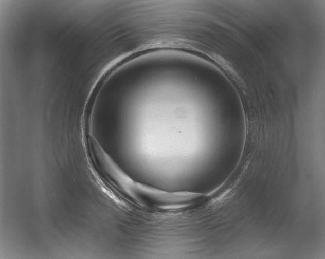 X0000056020846200508191325