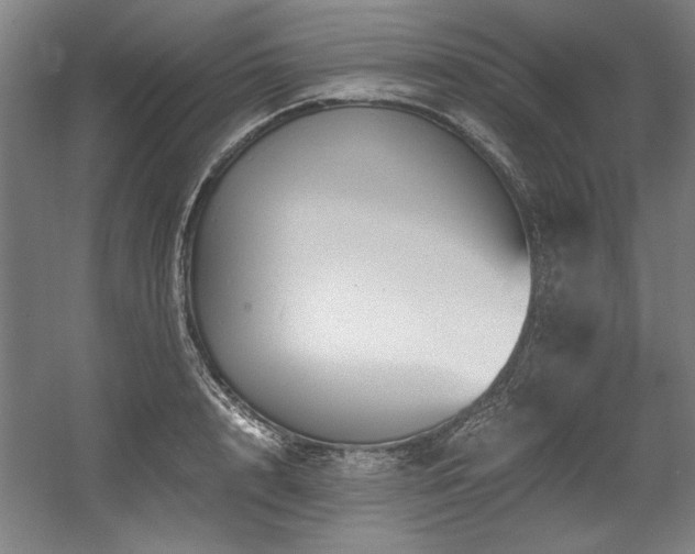 X0000056020848200508191325