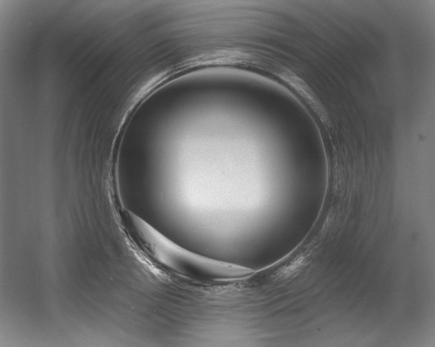 X0000056020850200508191325