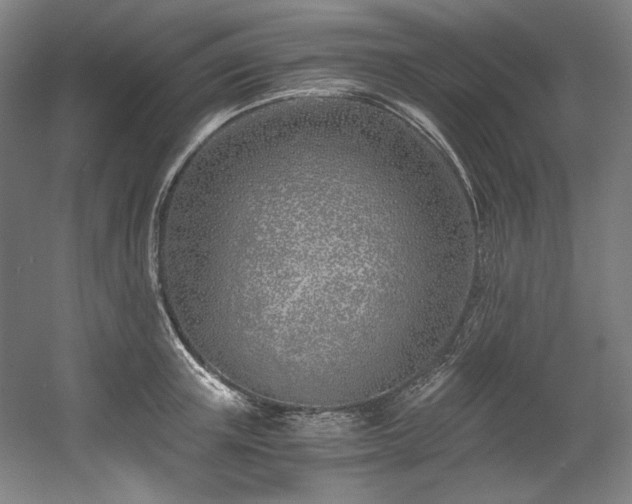 X0000056020851200508191325