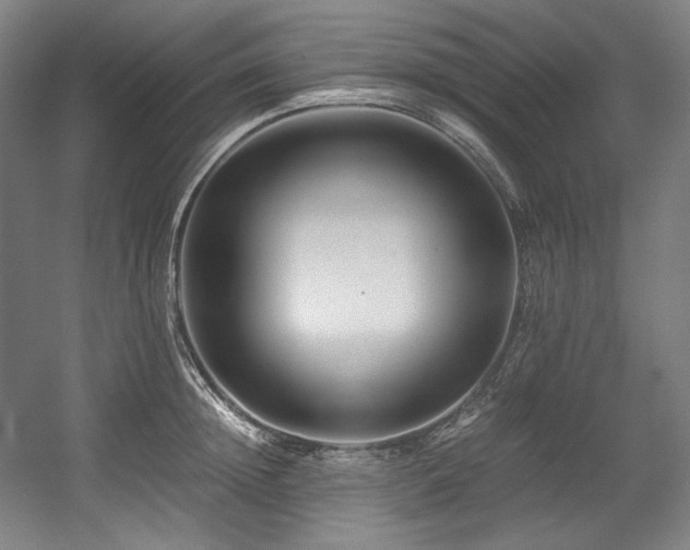X0000056020852200508191325