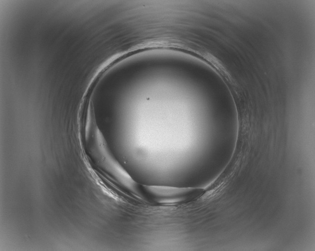 X0000056020854200508191326