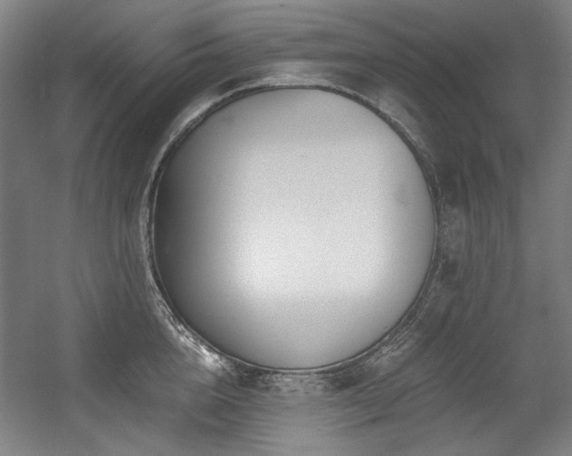 X0000056020856200508191326