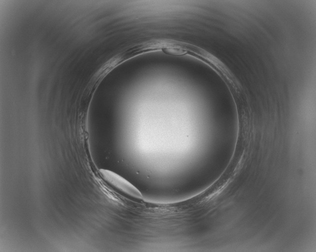 X0000056020857200508191326