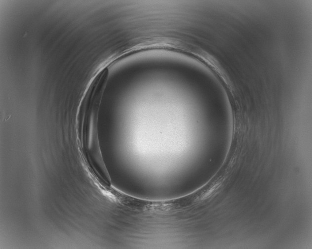 X0000056020858200508191326