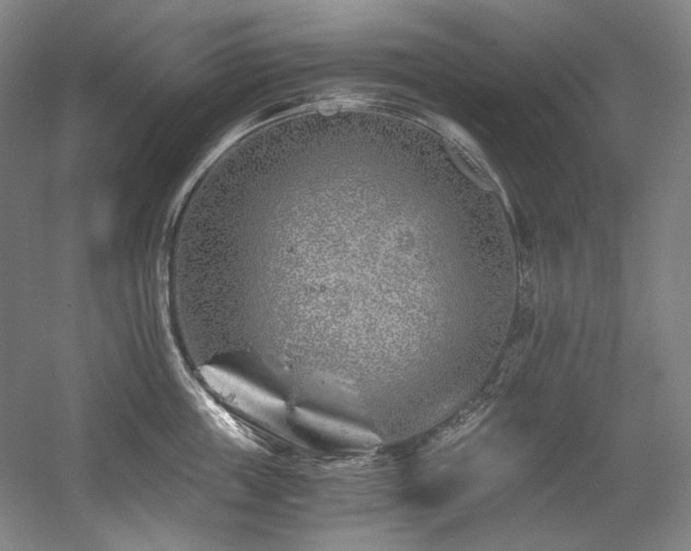 X0000056020859200508191326