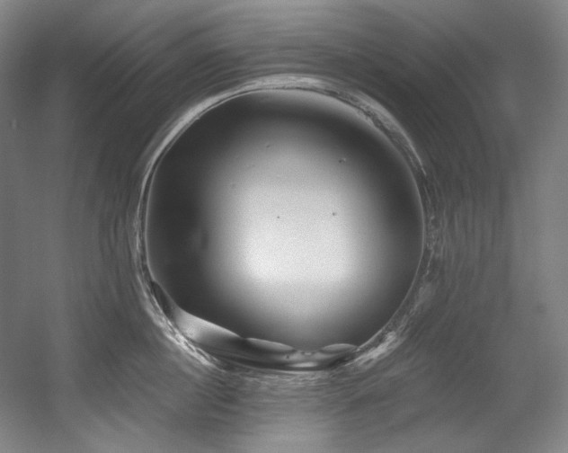 X0000056020860200508191326