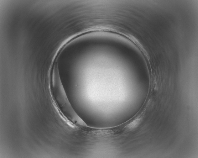 X0000056020862200508191326