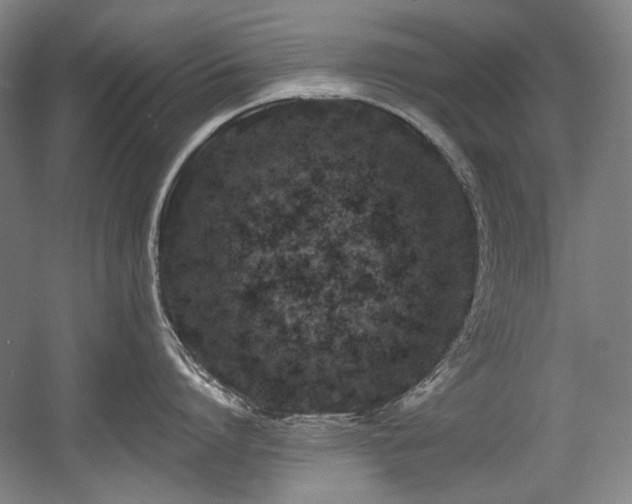 X0000056020864200508191326
