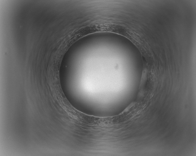X0000056020865200508191325