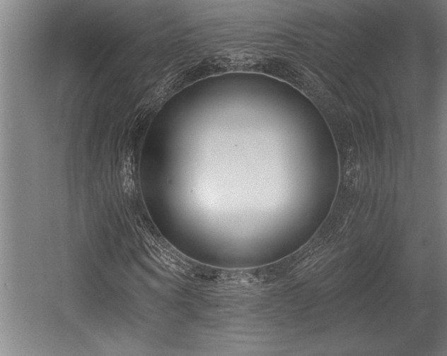 X0000056020866200508191325
