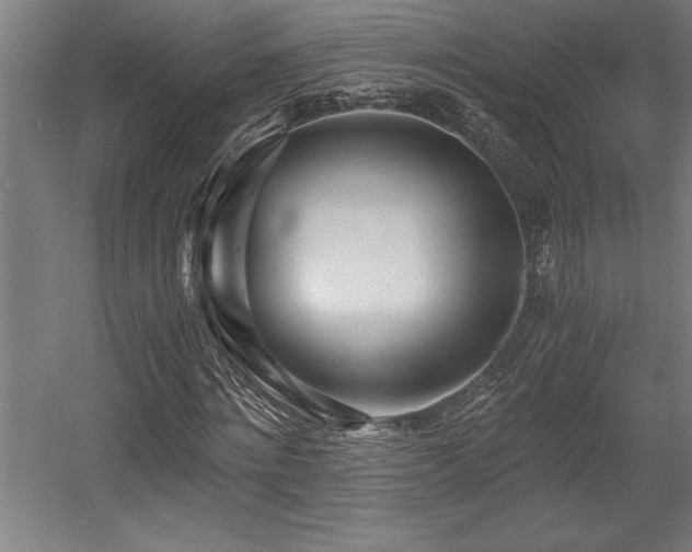 X0000056020868200508191325
