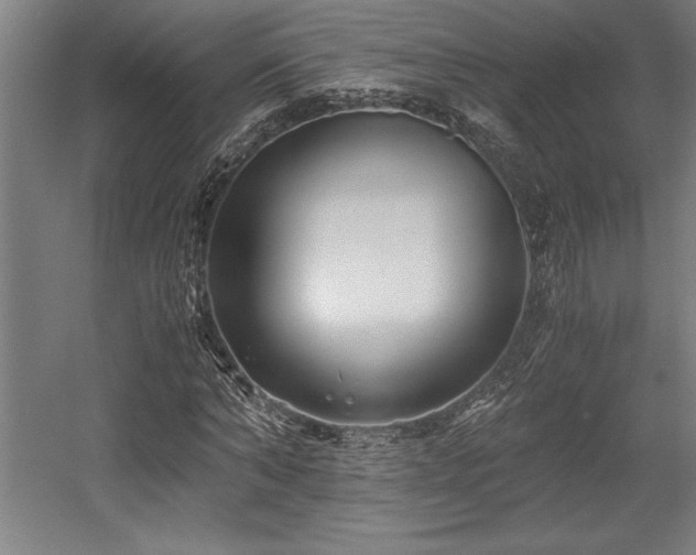 X0000056020870200508191325