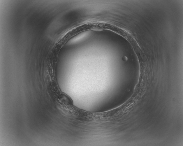 X0000056020871200508191325