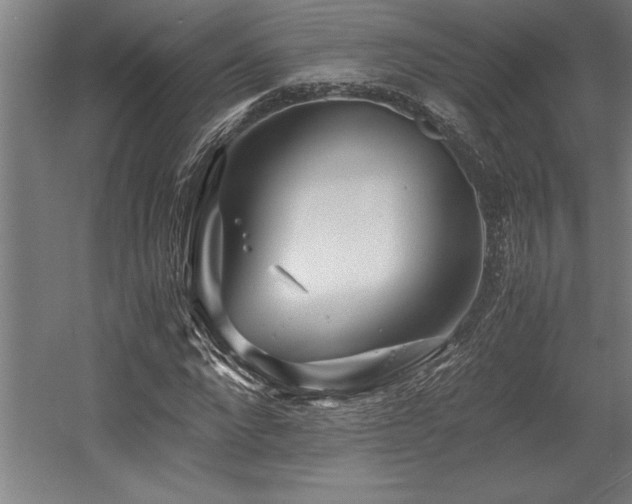 X0000056020872200508191325