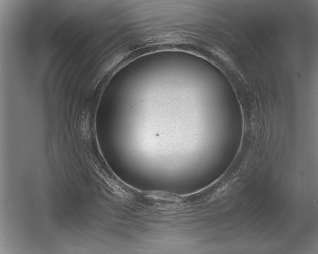 X0000056020873200508191325