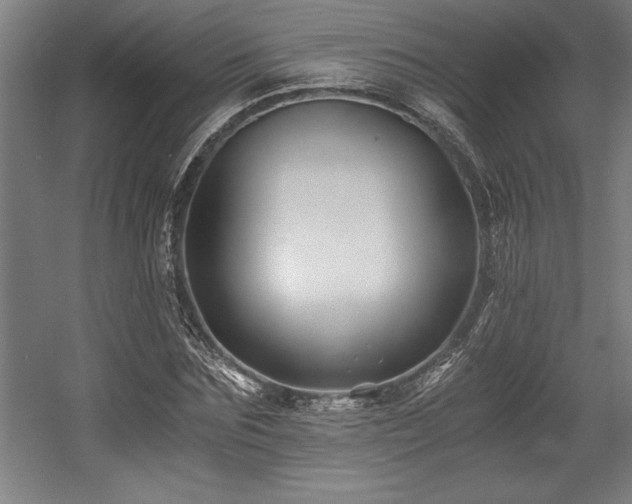 X0000056020875200508191325