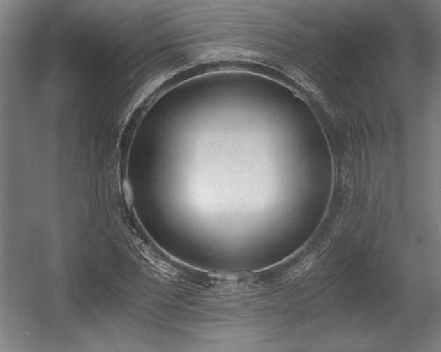 X0000056020877200508191325