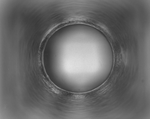X0000056020878200508191325