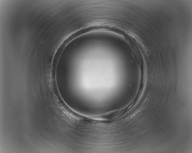 X0000056020880200508191325