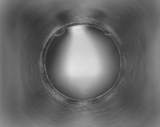 X0000056020883200508191325