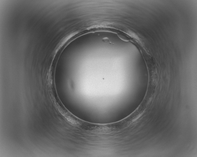 X0000056020885200508191325
