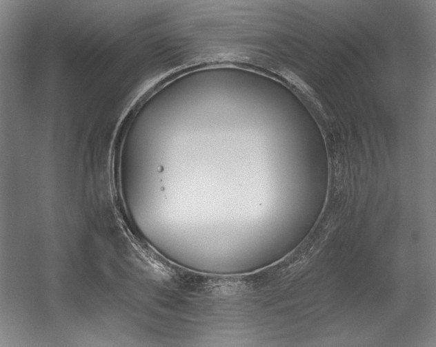 X0000056020886200508191325