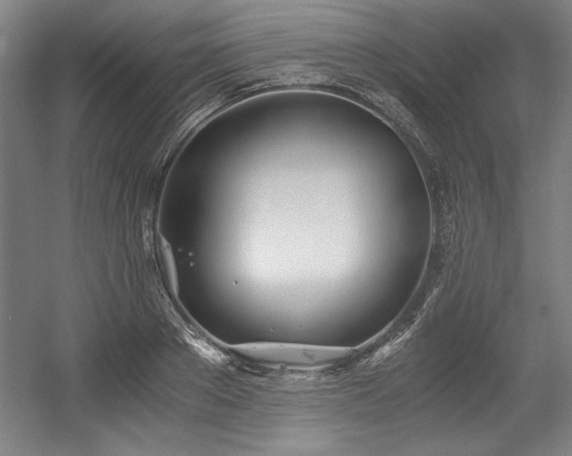 X0000056020889200508191324