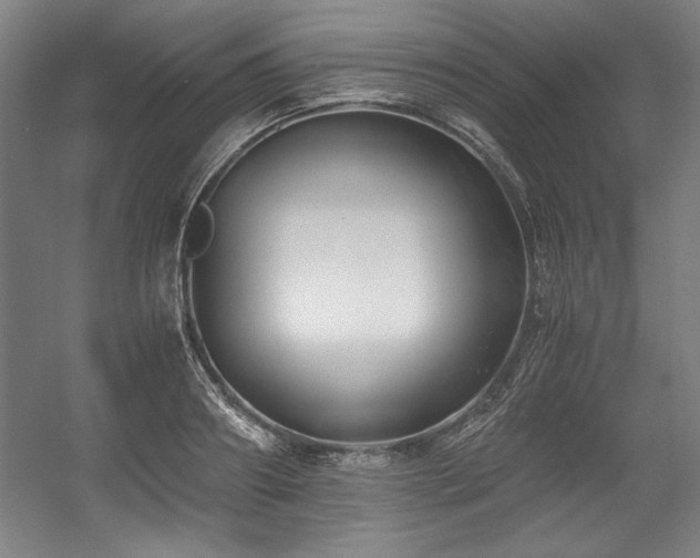 X0000056020890200508191324