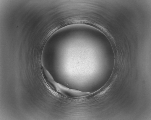 X0000056020897200508191324