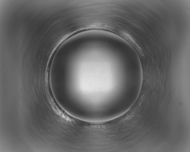 X0000056020900200508191324