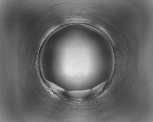X0000056020901200508191324
