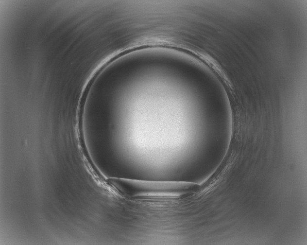 X0000056020904200508191324